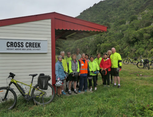 News from the road – Remutaka Cycle Trail – March 2022